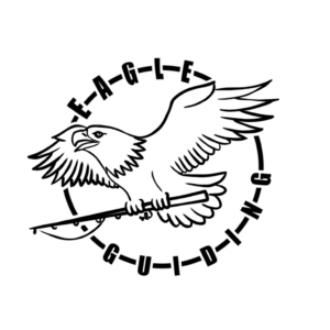 Eagle-Guiding-logo